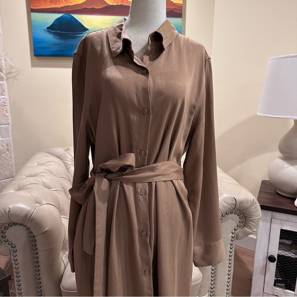 ⭐️Banana Republic brown long coat - Picture 3 of 8